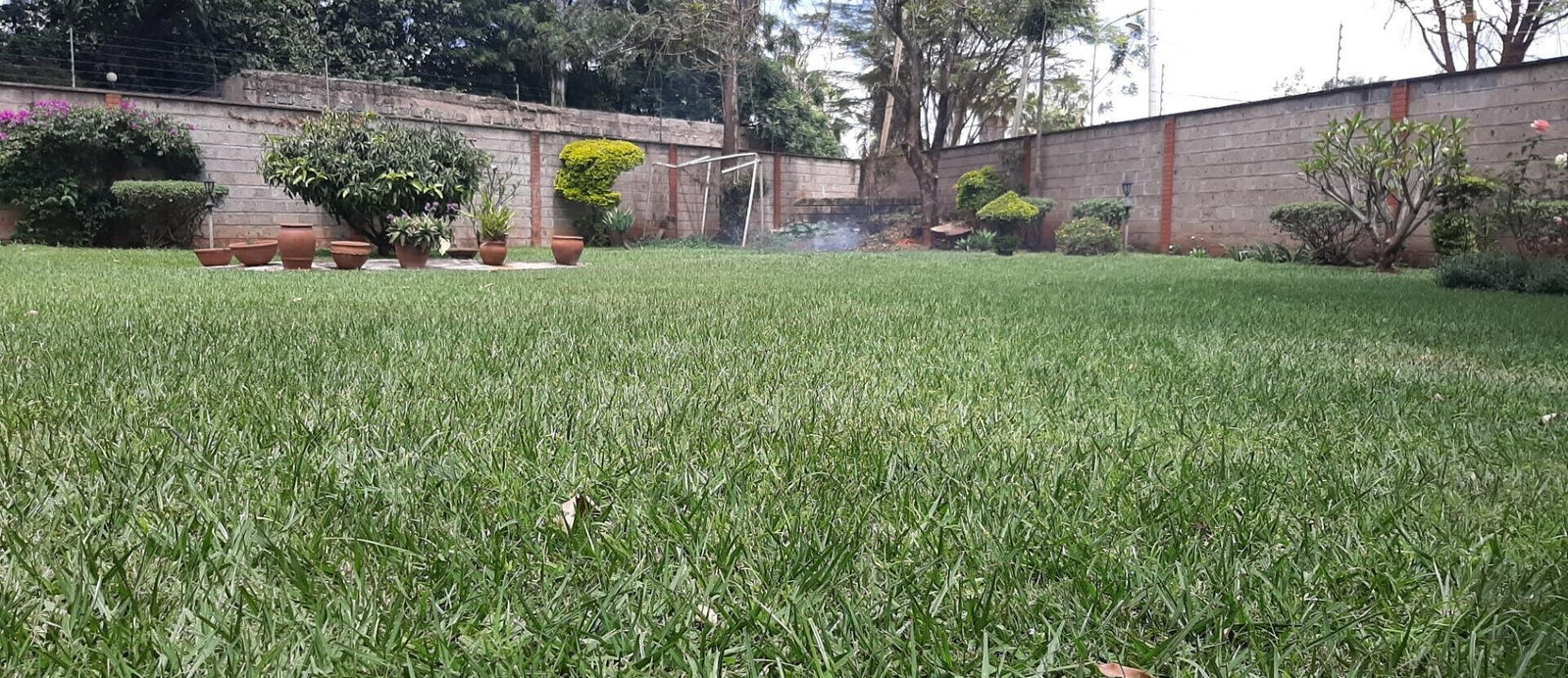 Half Acre 5BR Haven at KSh 450K