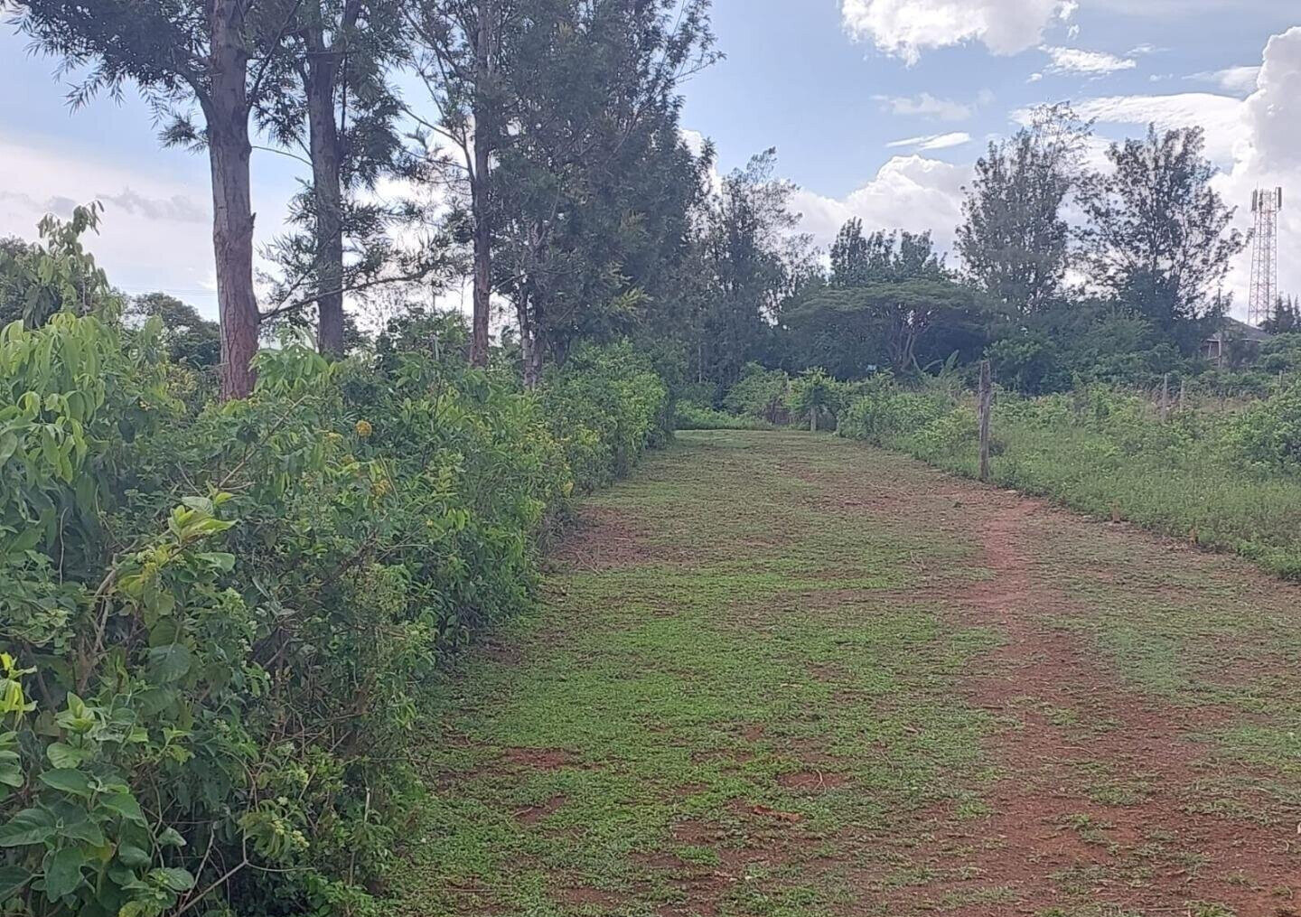 Quarter Acre in Riat Hills for KSh 4.5M