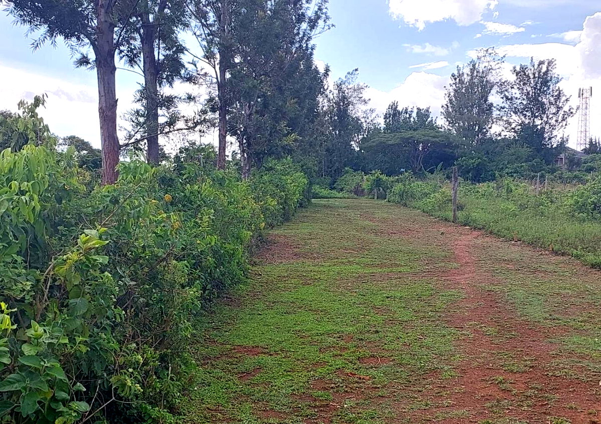 Quarter Acre in Riat Hills for KSh 4.5M