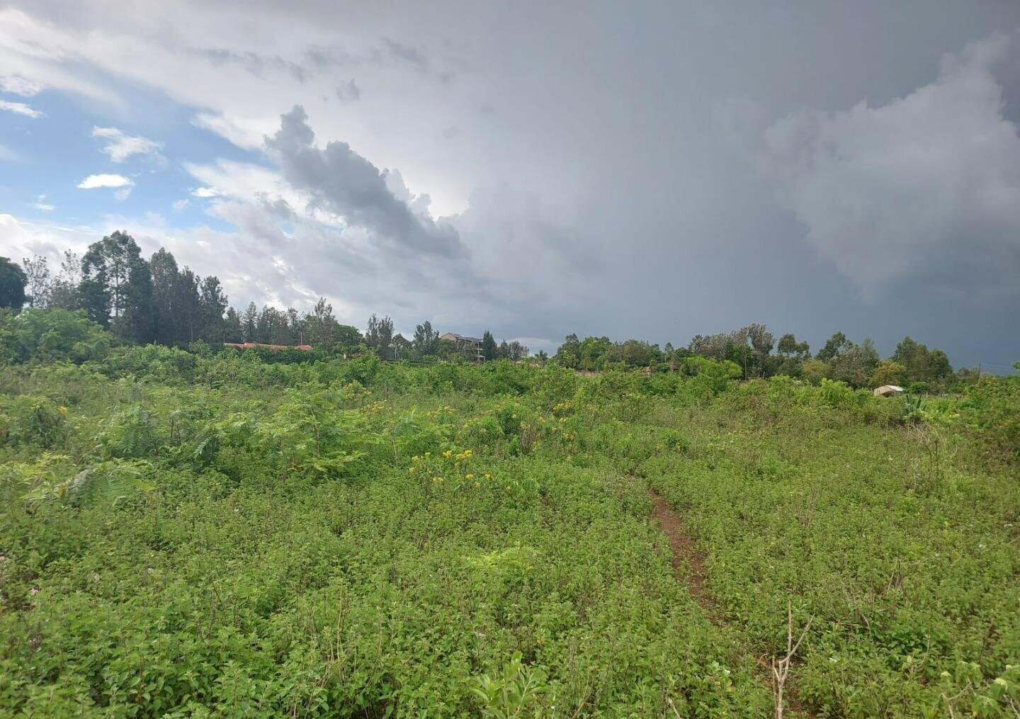 Quarter Acre in Riat Hills for KSh 4.5M