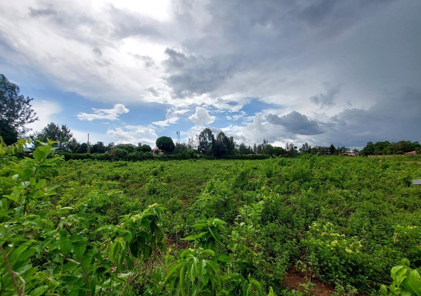 Quarter Acre in Riat Hills for KSh 4.5M