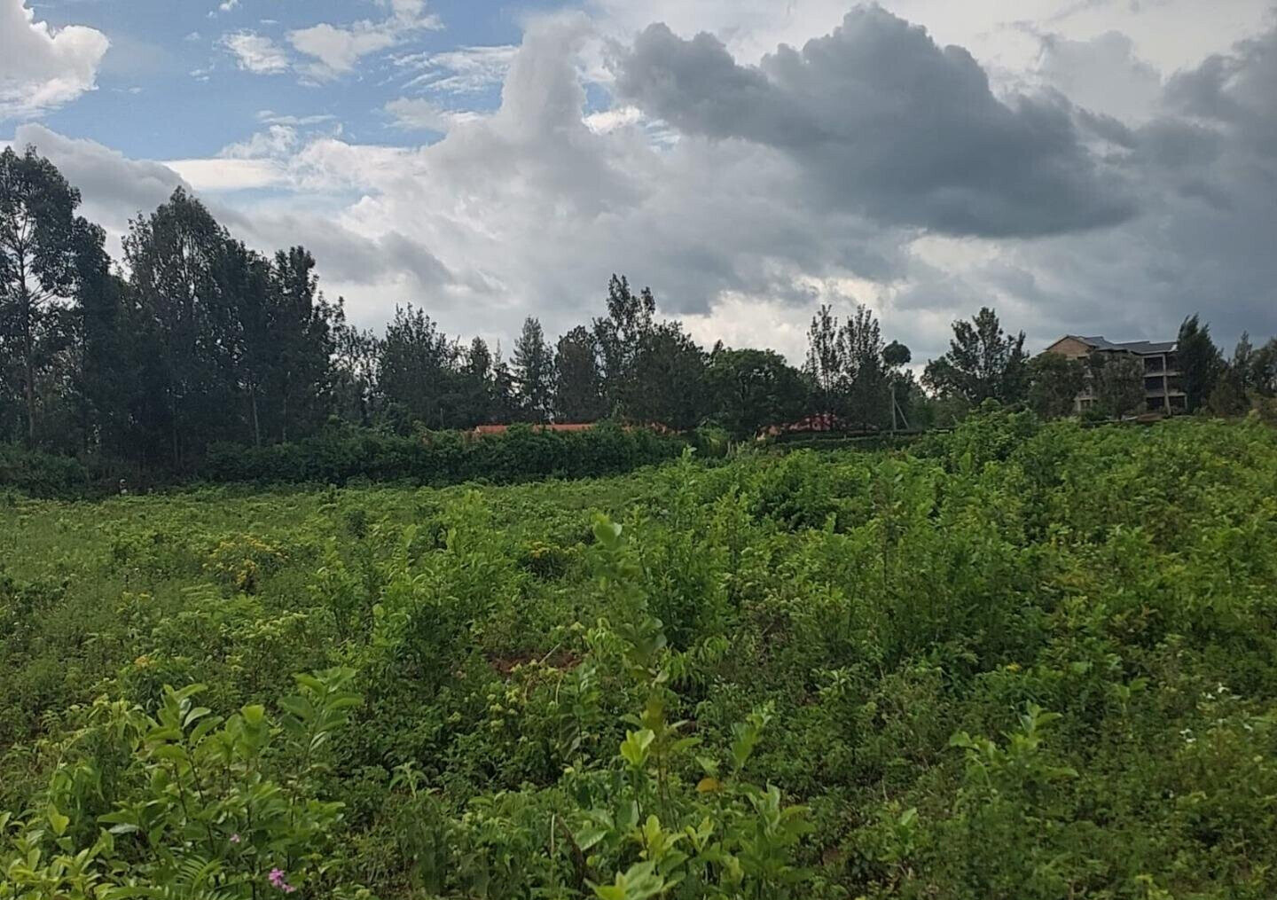 Quarter Acre in Riat Hills for KSh 4.5M