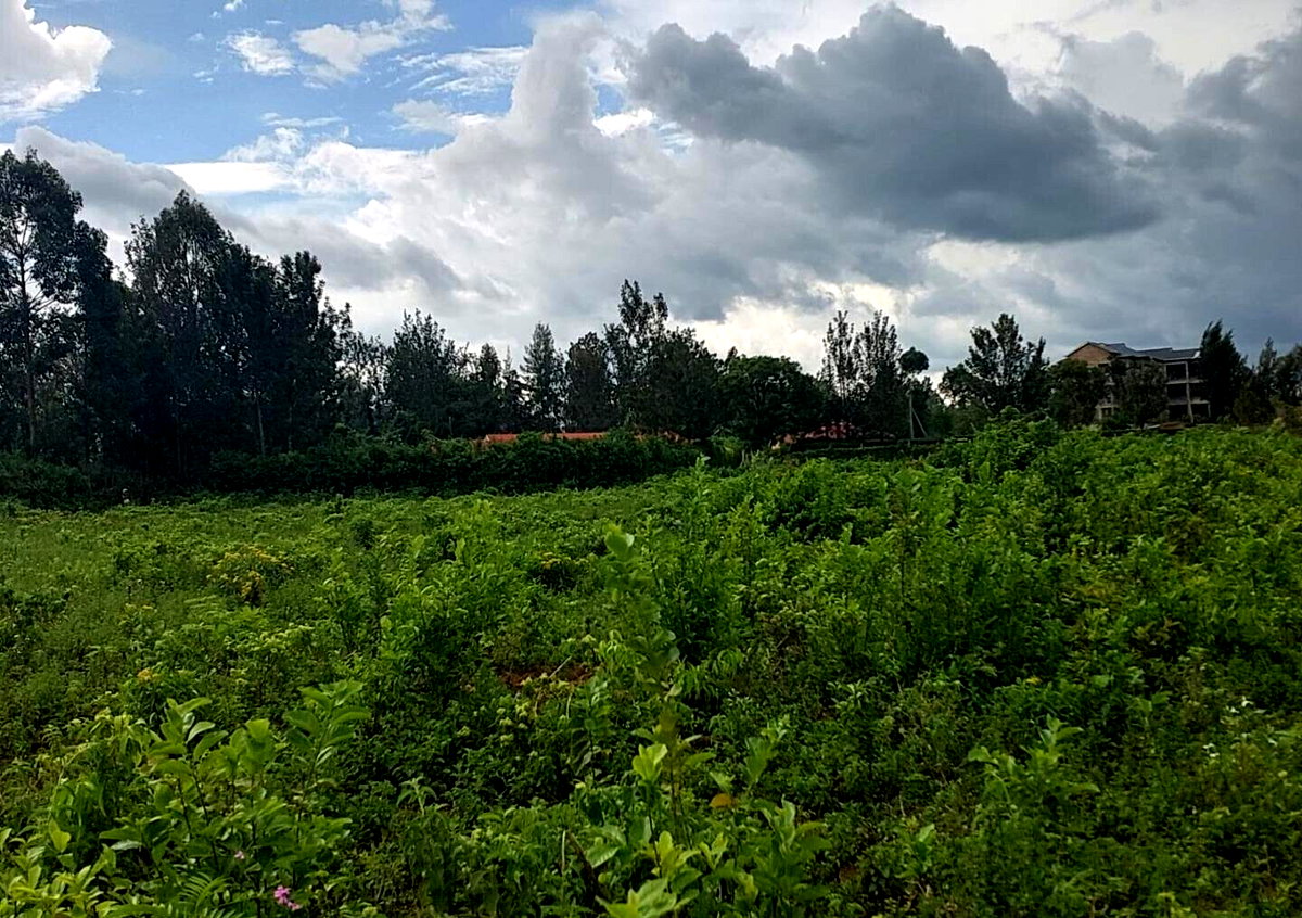 Quarter Acre in Riat Hills for KSh 4.5M