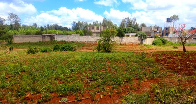 Half Acre Plot with Garden in Ruiru