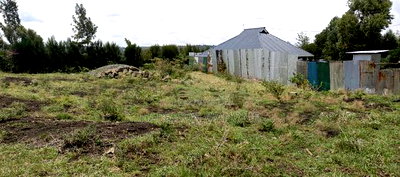 50*100 Plot for Sale in Ngong Kibiko. - Image 4