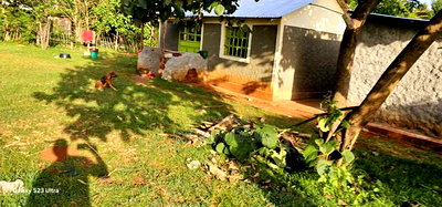 1/2 Acre With 2 Bedrooms for Sale in Kipkenyo Eldoret Simat - Image 7