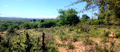 Embu County, Mutuobare,3 Acres Residential/Commercial - Image 14