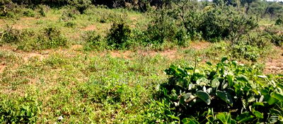 Embu County, Mutuobare,3 Acres Residential/Commercial - Image 9