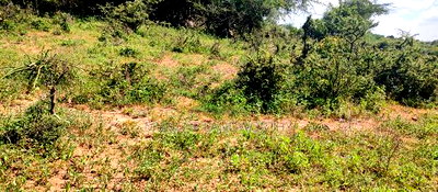 Embu County, Mutuobare,3 Acres Residential/Commercial - Image 8