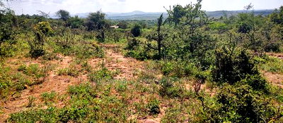 Embu County, Mutuobare,3 Acres Residential/Commercial - Image 7