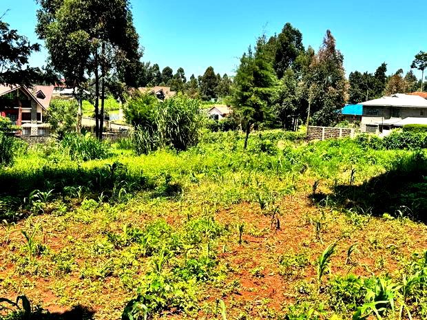 Prime Residential Plot for Sale in Kikuyu, Ondiri .