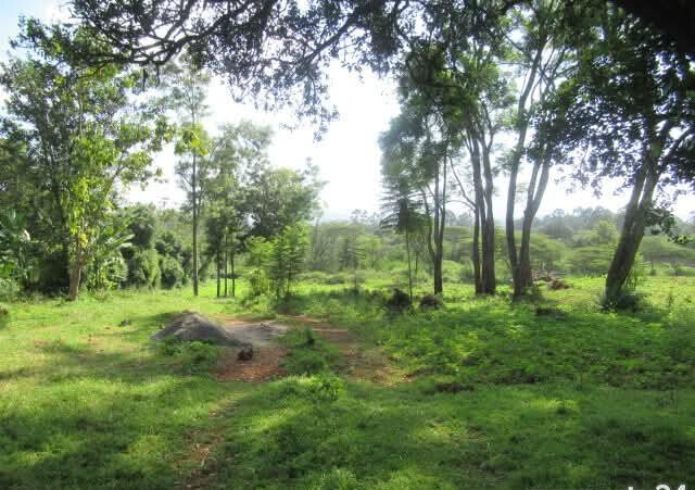 KSh 35M Half Acre Plot in Karen