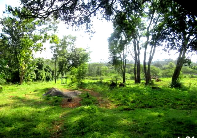 KSh 35M Half Acre Plot in Karen