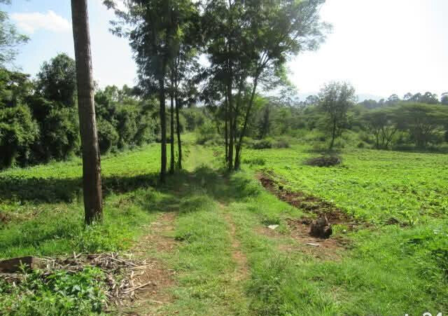 KSh 35M Half Acre Plot in Karen