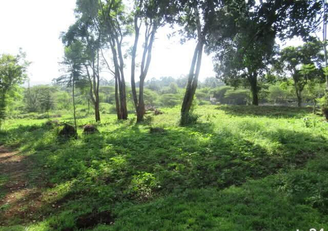 KSh 35M Half Acre Plot in Karen