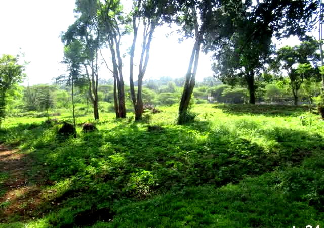 KSh 35M Half Acre Plot in Karen