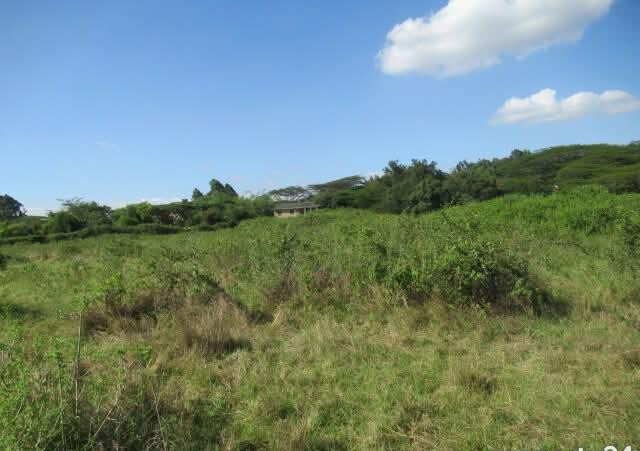 KSh 35M Half Acre Plot in Karen