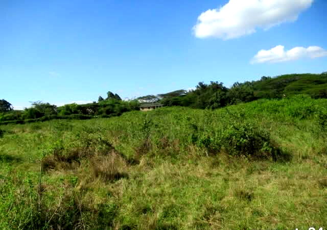 KSh 35M Half Acre Plot in Karen