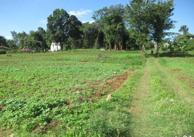 KSh 35M Half Acre Plot in Karen