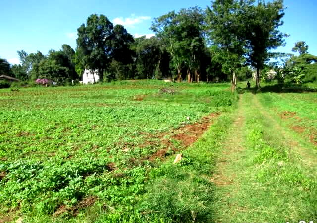 KSh 35M Half Acre Plot in Karen