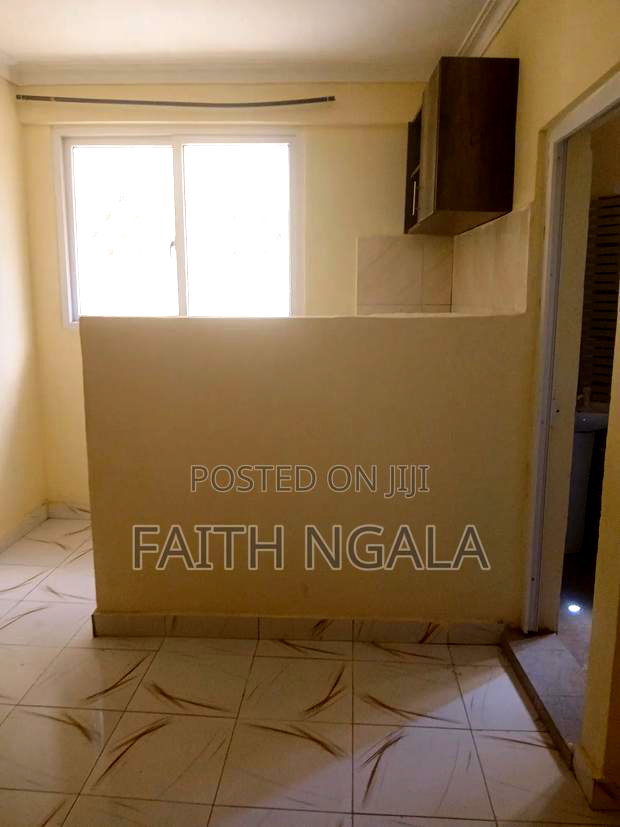 1bdrm Bedsitter in Mtambo for rent
