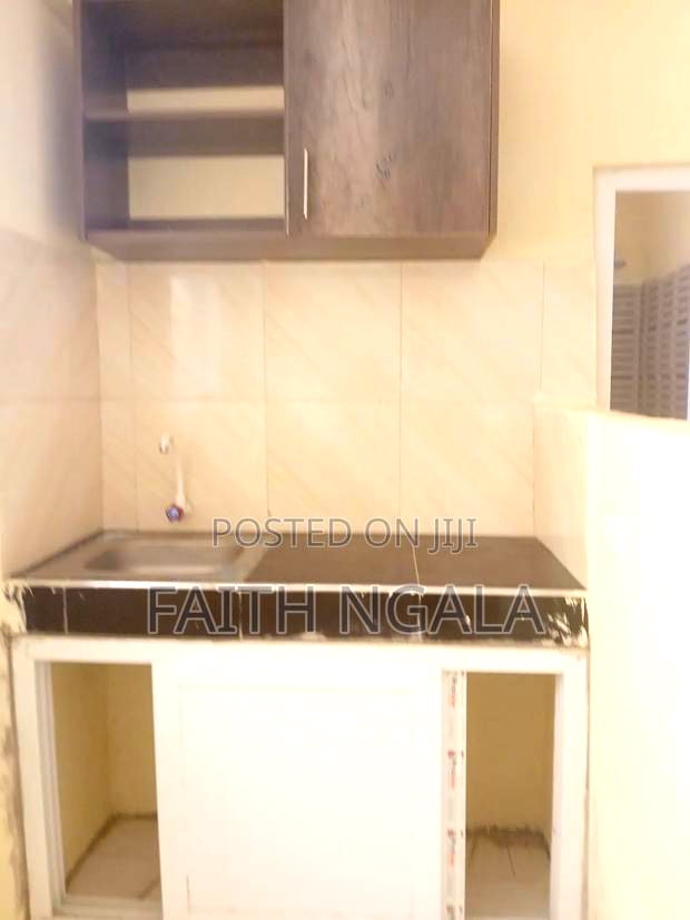 1bdrm Bedsitter in Mtambo for rent