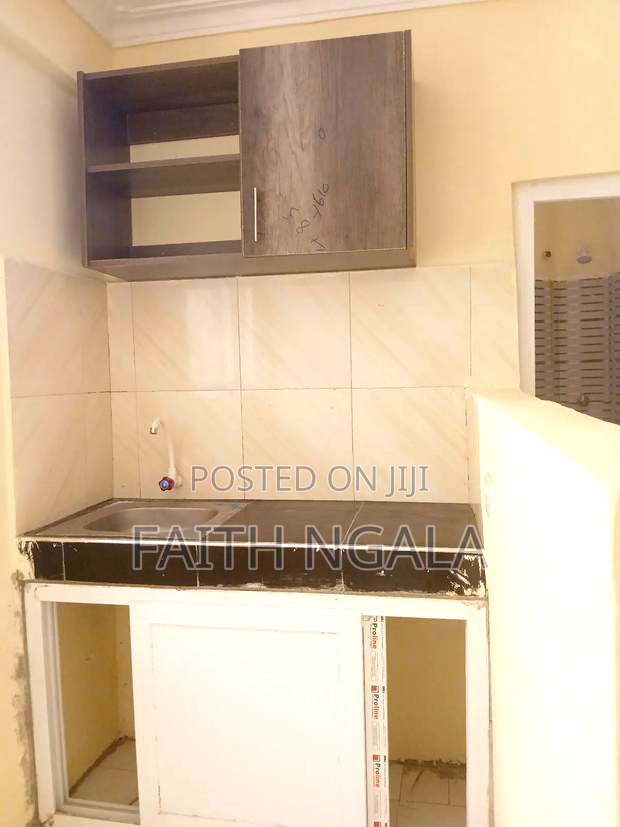 1bdrm Bedsitter in Mtambo for rent