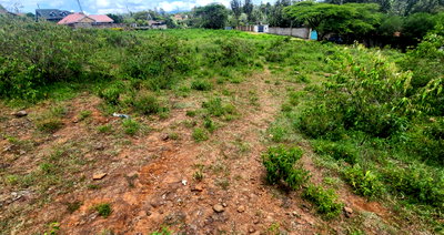 Half Acre Plot for KSh 28M
