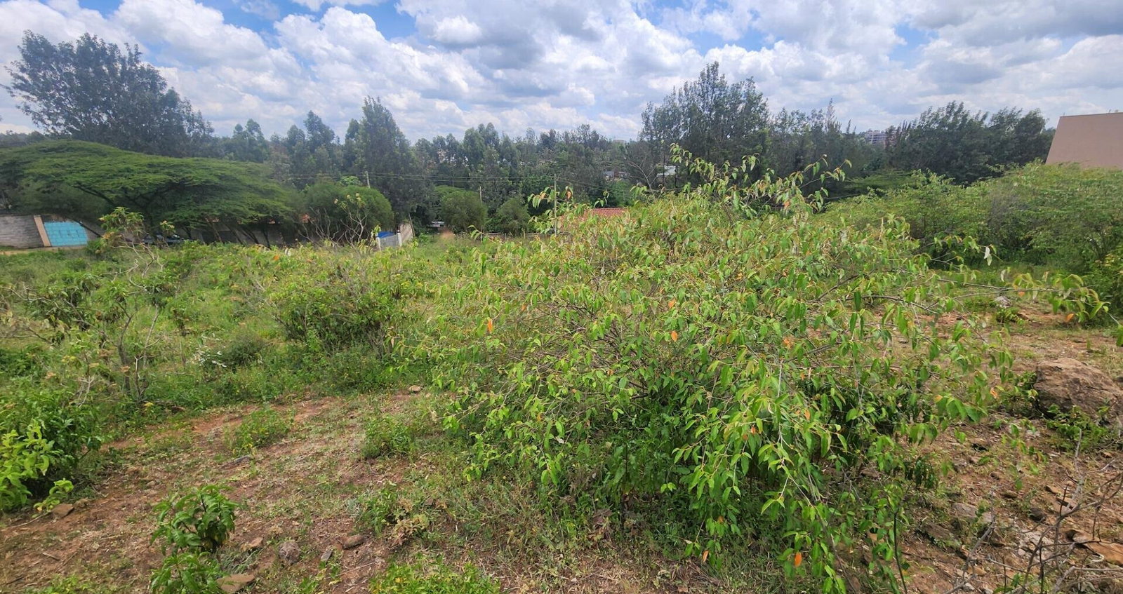 Half Acre Plot for KSh 28M