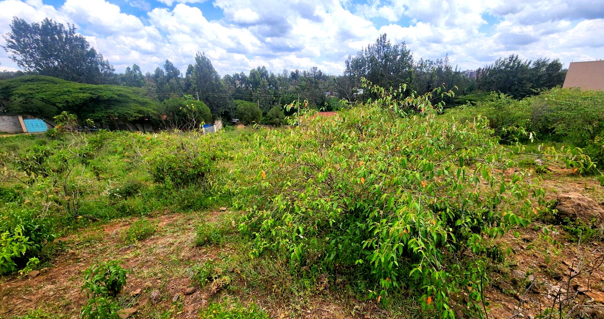 Half Acre Plot for KSh 28M