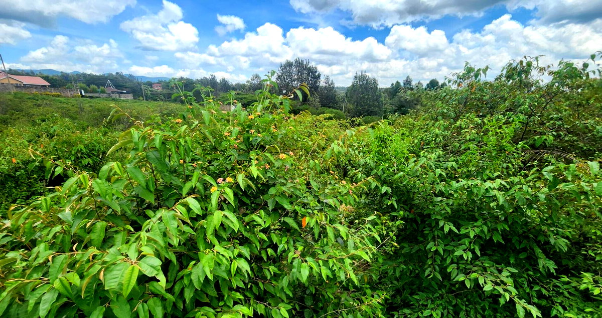 Half Acre Plot for KSh 28M