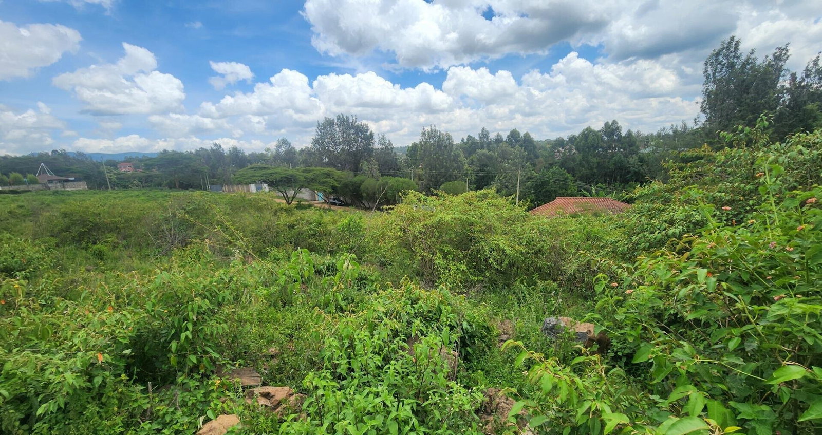 Half Acre Plot for KSh 28M