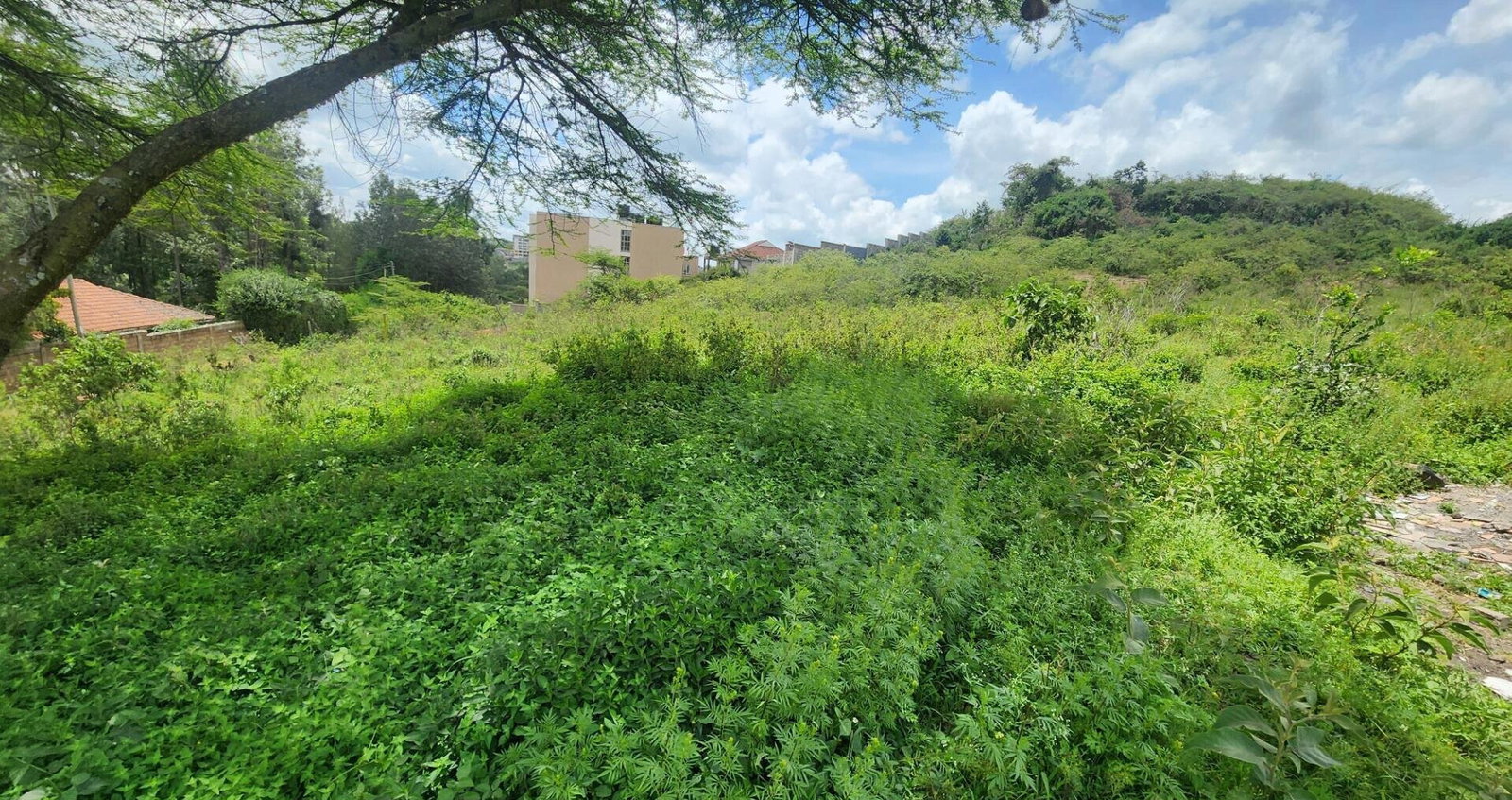 Half Acre Plot for KSh 28M