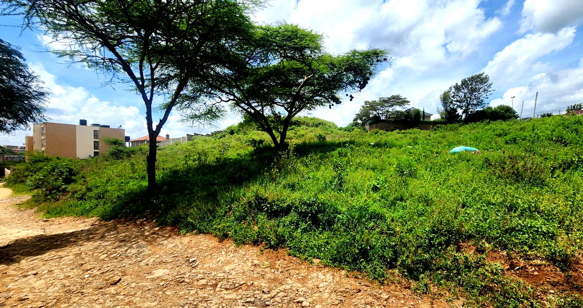 Half Acre Plot for KSh 28M