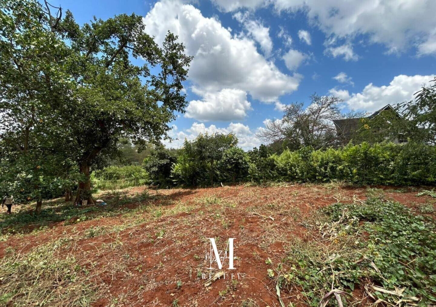 Quarter Acre Serviced Plot