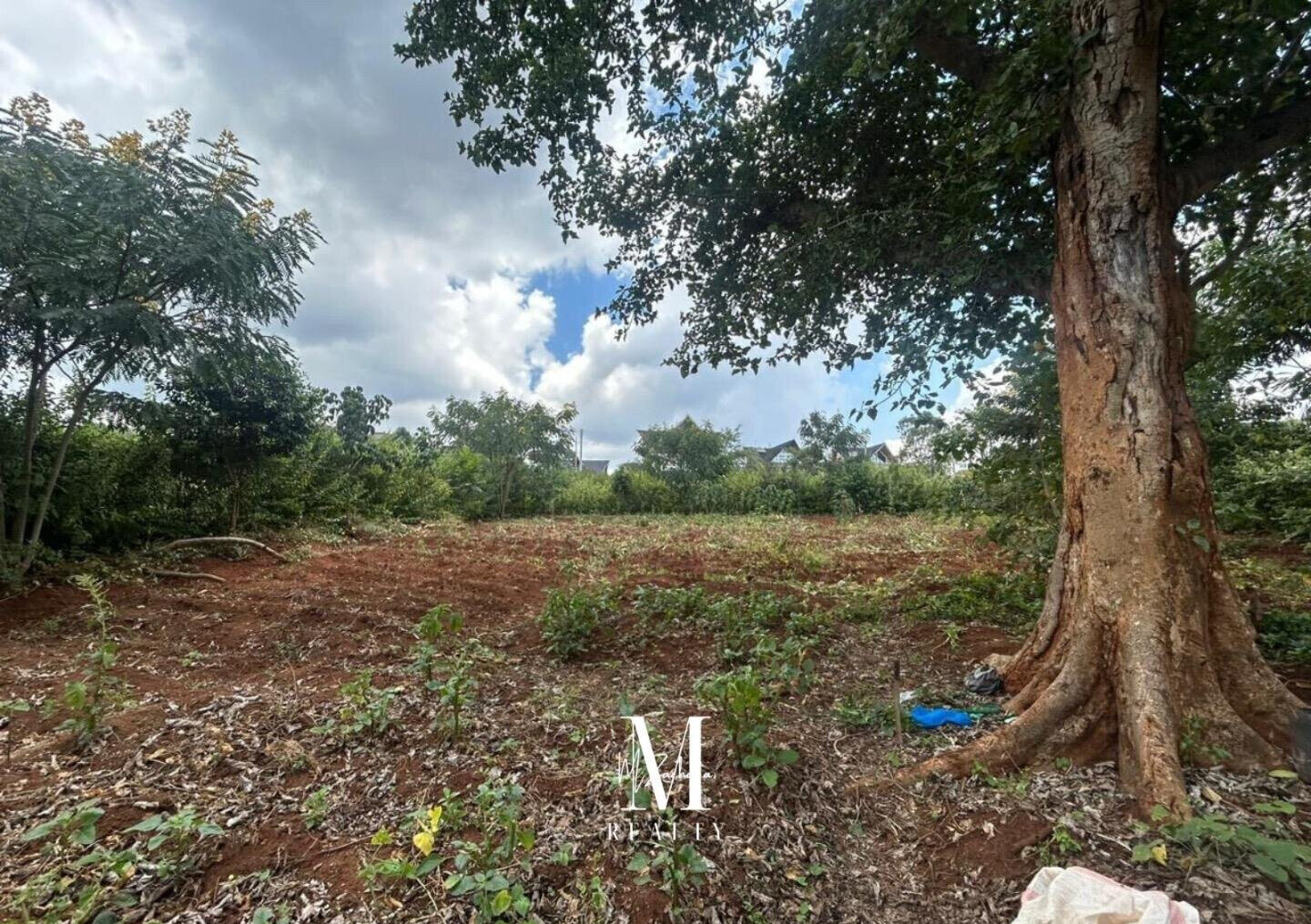 Quarter Acre Serviced Plot