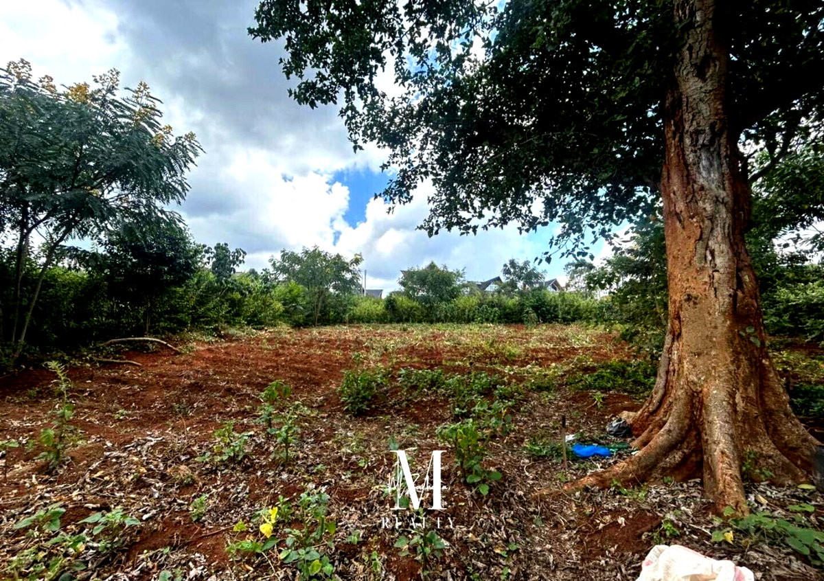 Quarter Acre Serviced Plot