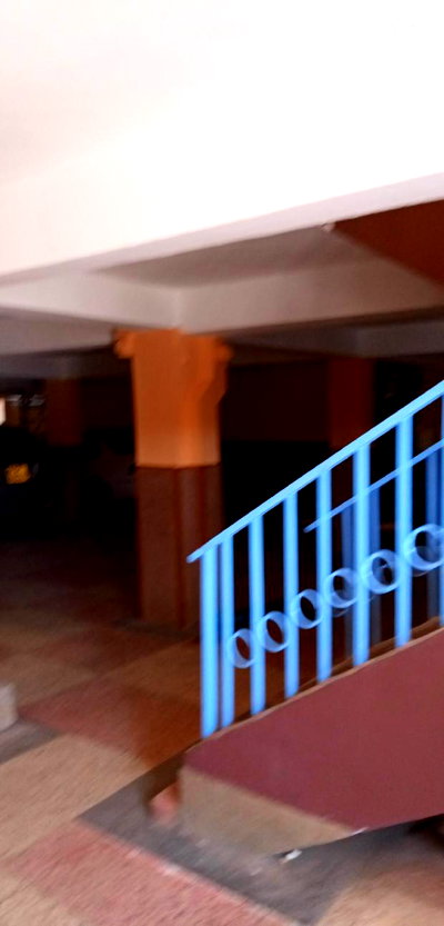 Flat on Sale ,Zimmerman - Image 4