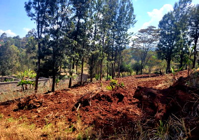 1/8 Acre Plot in Kibiku, Ngong