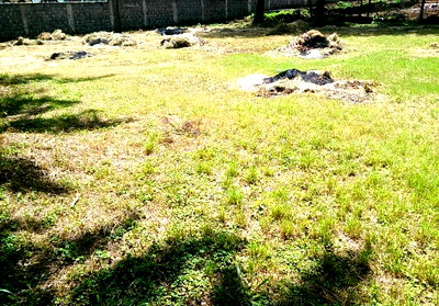 Half Acre Upperhill Plot for Sale