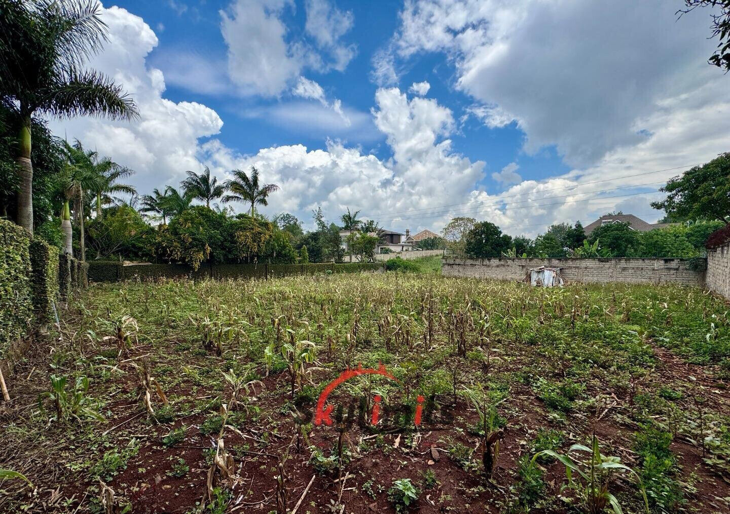 0.5 Acre Runda Plot at KSh 60M