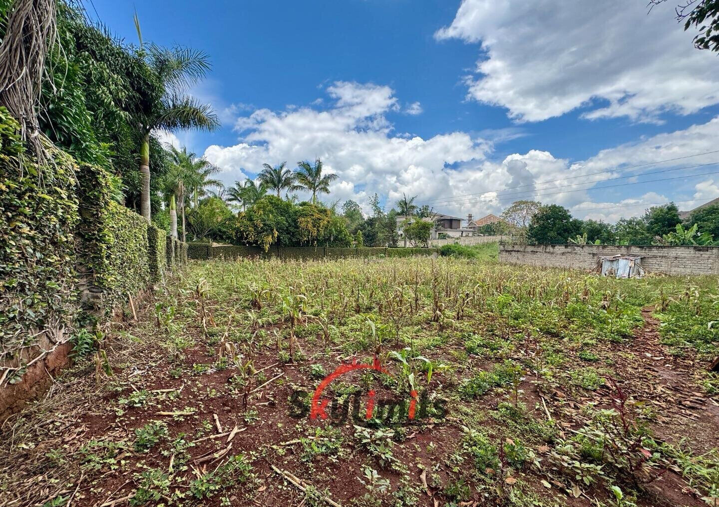 0.5 Acre Runda Plot at KSh 60M