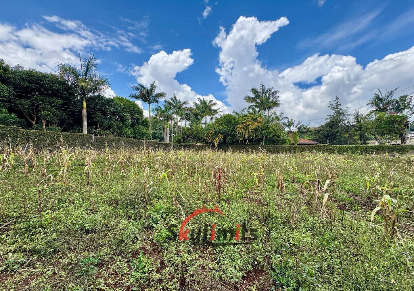 0.5 Acre Runda Plot at KSh 60M