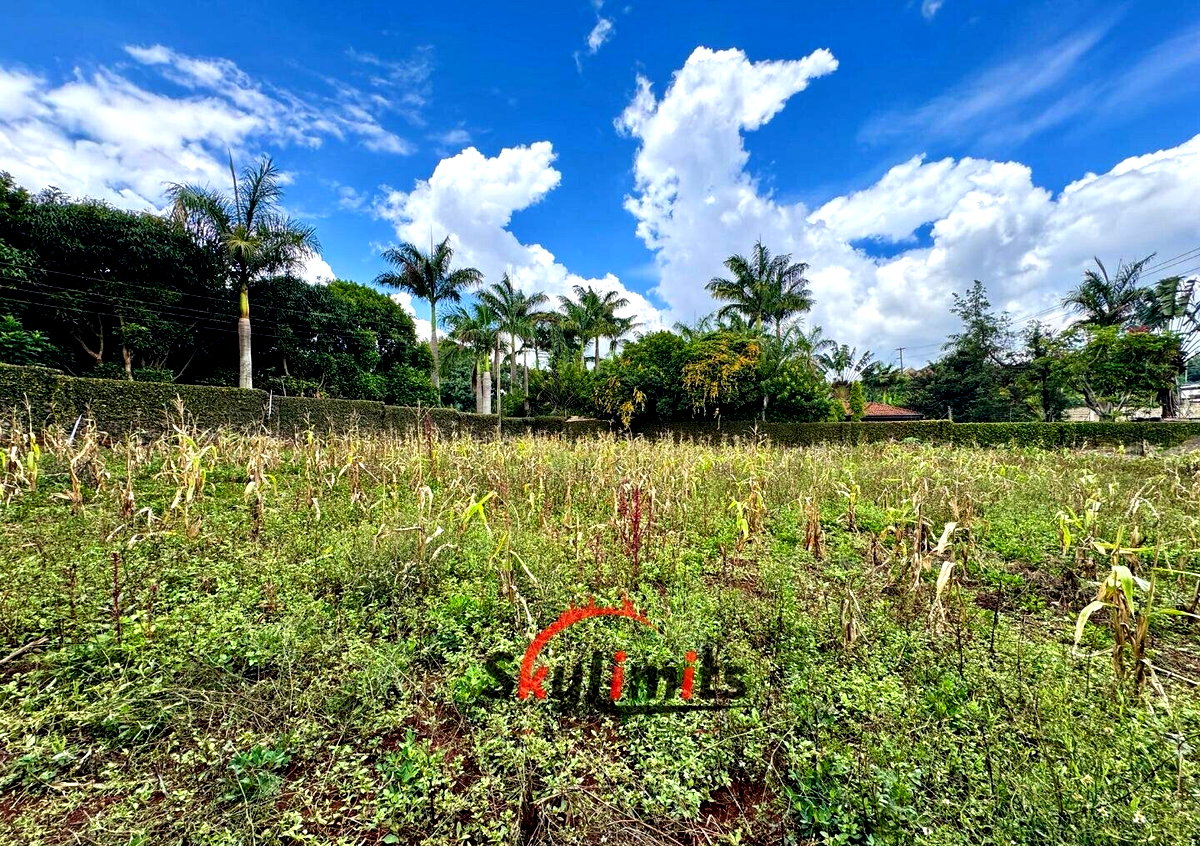 0.5 Acre Runda Plot at KSh 60M