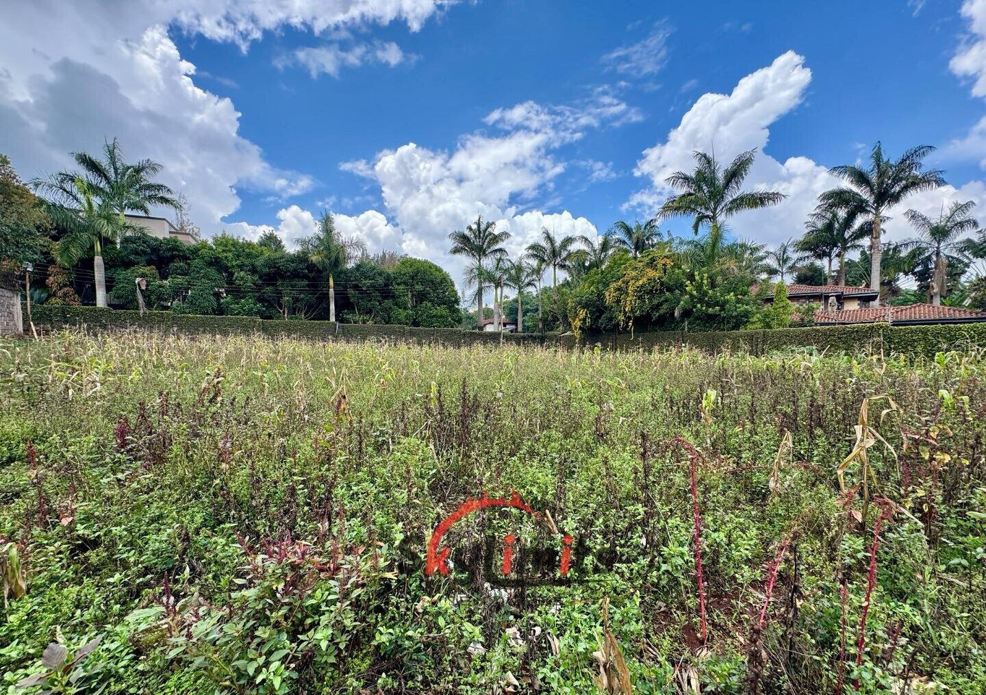 0.5 Acre Runda Plot at KSh 60M