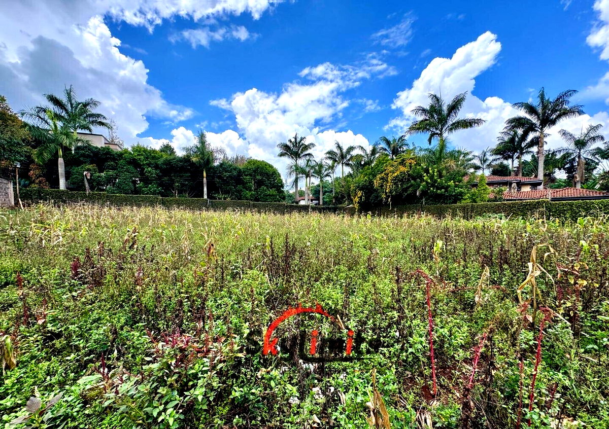 0.5 Acre Runda Plot at KSh 60M