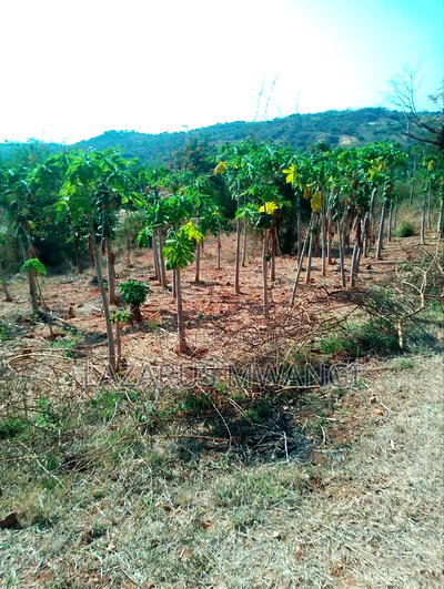 10 Acres of Land Good for Hotel Near Makutano Mwea - Image 12