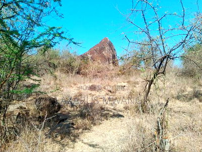 10 Acres of Land Good for Hotel Near Makutano Mwea - Image 11