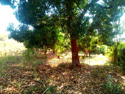 10 Acres of Land Good for Hotel Near Makutano Mwea - Image 7