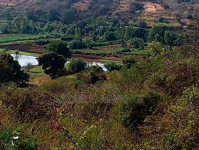 10 Acres of Land Good for Hotel Near Makutano Mwea - Image 13